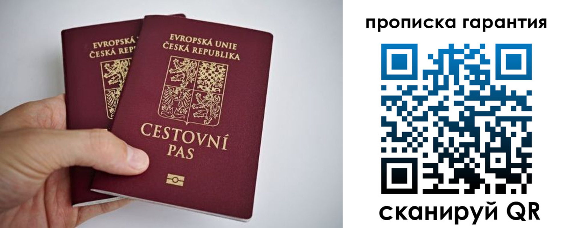 прописка в Котово